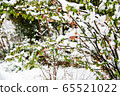 一朵雪花 65521022