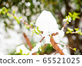 一朵雪花 65521025