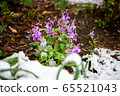 一朵雪花 65521043