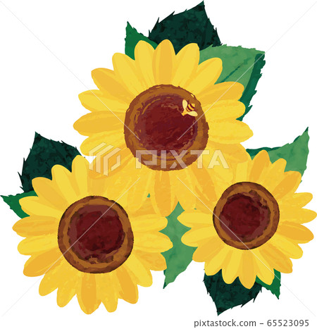 Sunflower summer flower illustration material watercolor analog Sunflower summer flower illustration material watercolor analog 65523095