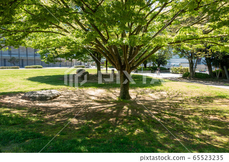 A precious oasis in the city of Iwaki citizens Taira Chuo Park, shaded by trees A precious oasis in the city of Iwaki citizens Taira Chuo Park, shaded by trees 65523235