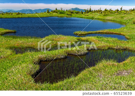 Naebayama Sanjo Marsh in the summer Naebayama Sanjo Marsh in the summer 65523639