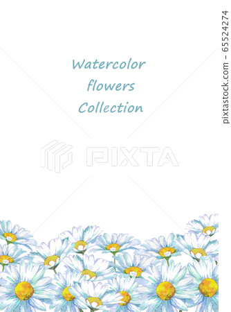 Shaster daisy watercolor 65524274