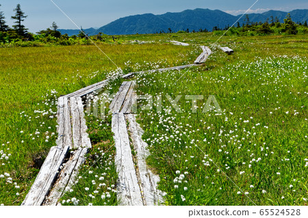 Naebayama Yamagami Marsh in the summer Naebayama Yamagami Marsh in the summer 65524528