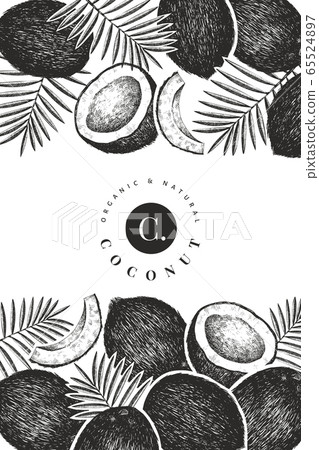 Coconut with palm leaves design template. Hand 65524897