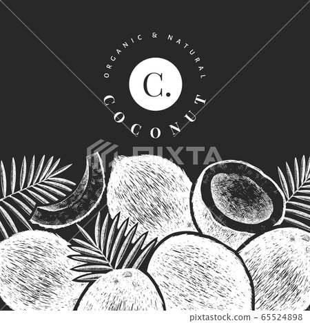 Coconut with palm leaves design template. Hand 65524898