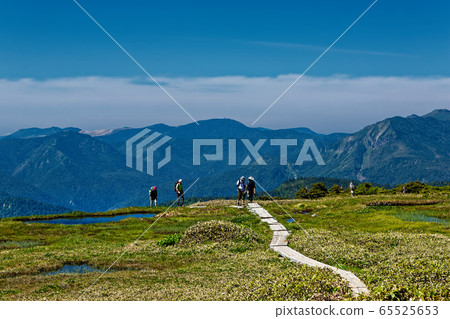 Hiker hiking through Naebayama Sanjo Marsh in the summer Hiker hiking through Naebayama Sanjo Marsh in the summer 65525653