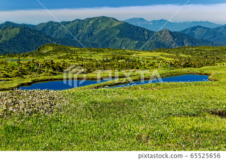 Naebayama Sanjo Marsh in the summer Naebayama Sanjo Marsh in the summer 65525656