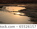 Mud 65526157