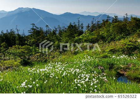 View of Mt. Naeba / Kaguranomine and the Tanigawa Mountains / Mt. Asahi View of Mt. Naeba / Kaguranomine and the Tanigawa Mountains / Mt. Asahi 65526322