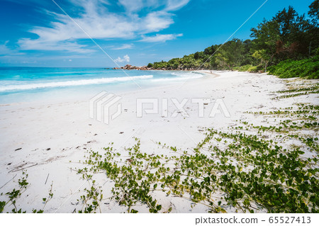 White sandy beach and turquoise ocean at Anse Cocos Peaceful wallpaper of tropical Seychelles beach, La Digue 65527413
