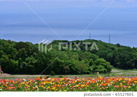 Flower island Flower island 65527601