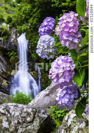 Beautiful see-away waterfall in Karatsu City, Saga Prefecture 65528944