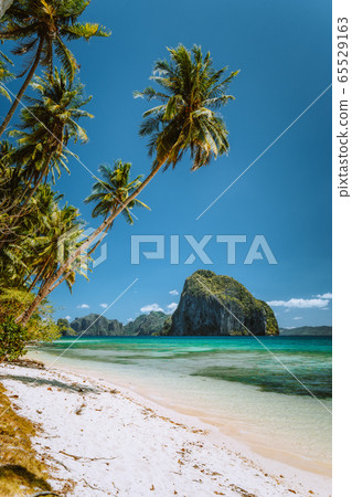 Palm trees on sandy beach with impressive Pinagbuyutan island in background. Dreamlike landscape scenery in El Nido, Palawan, Philippines 65529163