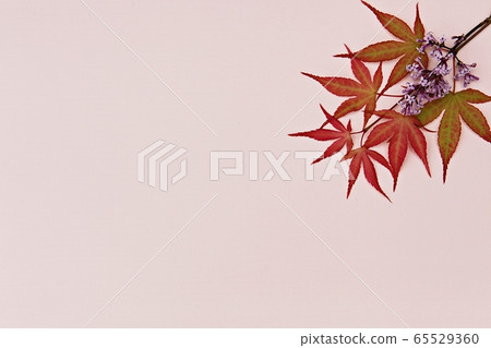 background background 65529360