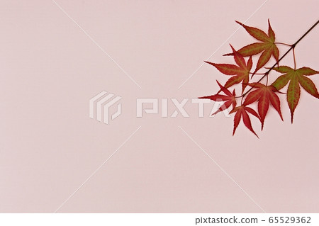 background background 65529362