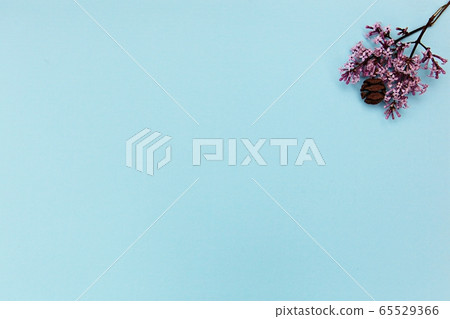 background background 65529366