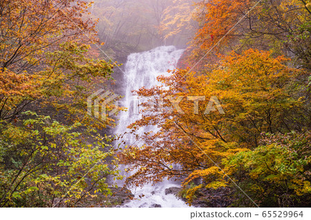 (Nagano) Former Hida Kaido / Jizokan Karasawa Falls 65529964
