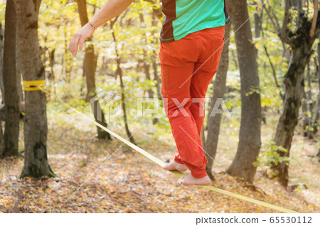 A bearded man in return is developing balance while walking along the slackline in the autumn forest on a sunny day. The concept of age leisure outdoors. 65530112