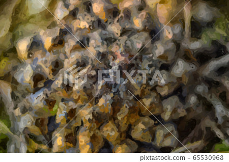 Illustration. Image of a Pine cone close-up. Illustration. Image of a Pine cone close-up. 65530968