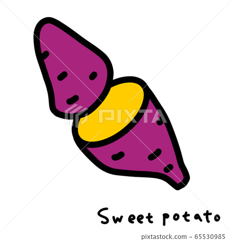 Handwritten style illustration of sweet potato Handwritten style illustration of sweet potato 65530985