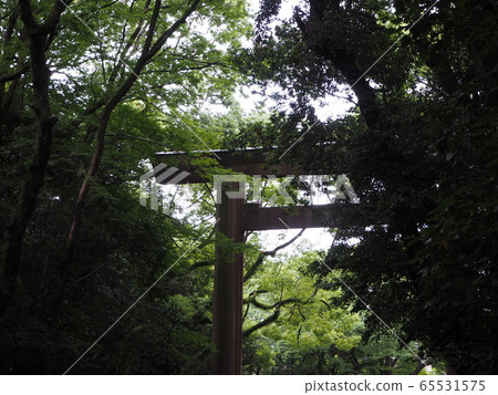Atsuta Jingu Torii after the rain Atsuta Jingu Torii after the rain 65531575