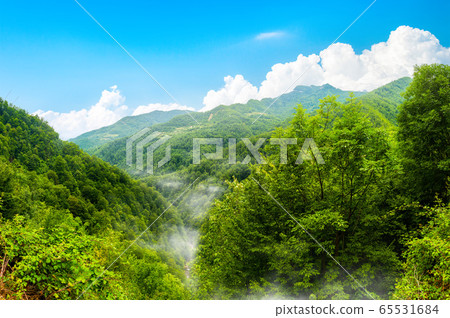 Durmitor National park Montenegro 65531684