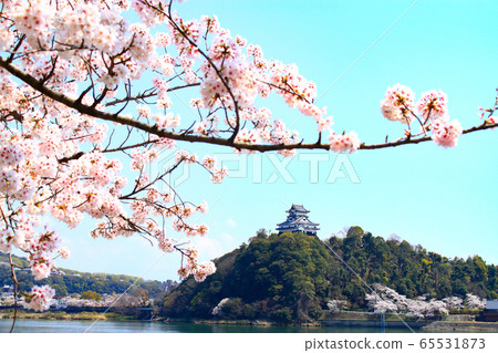 Inuyama City in Spring: Inuyama Castle and Sakura 65531873