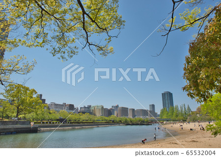 新鮮的綠色Kema Sakuranomiya公園 新鮮的綠色Kema Sakuranomiya公園 65532004