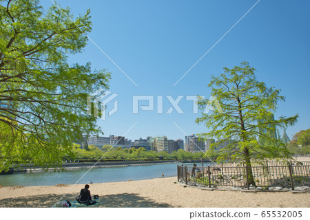 新鮮的綠色Kema Sakuranomiya公園 65532005