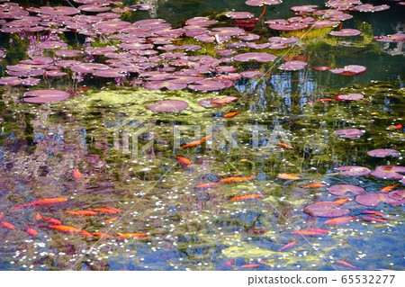 Koyasan Furukawa Benzai Tenzennoike Koyacho, Ito-gun, Wakayama Prefecture 65532277