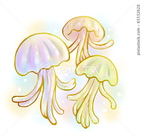 海蜇 海蜇 65532628