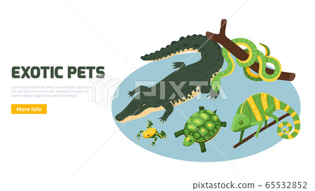 Exotic Pets Isometric Composition  65532852