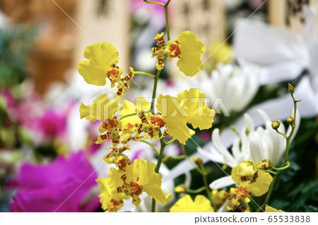 提供鮮花 65533838