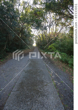 宮崎縣日向市通往三浦海岸的步道 宮崎縣日向市通往三浦海岸的步道 65533931