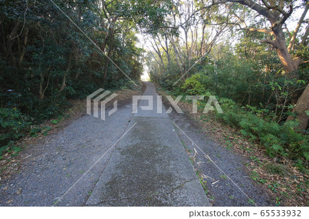 宮崎縣日向市通往三浦海岸的步道 宮崎縣日向市通往三浦海岸的步道 65533932