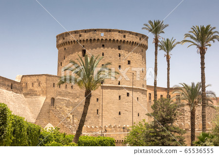 The Great Mosque of Muhammad Ali Pasha 65536555
