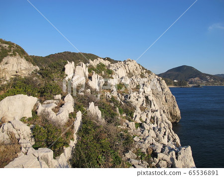 白崎海岸(和歌山縣) 白崎海岸(和歌山縣) 65536891