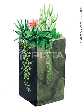Bright watercolor succulents in concrete vertical pot, hand drawn 65536906