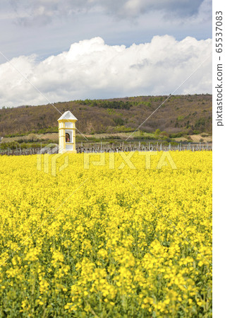 Gods torture near Retz, Austria 65537083
