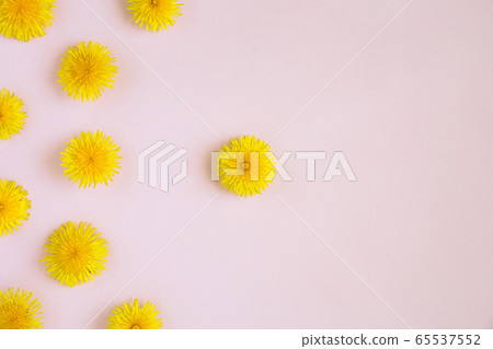 Spring picture on pink background with flowers. Spring picture on pink background with flowers. 65537552