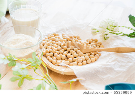 Soy products 65539999