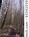 Birch road in the suburbs of Finland 1 Birch road in the suburbs of Finland 1 65541039
