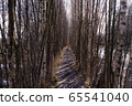 Birch Road 2 in the suburbs of Finland Birch Road 2 in the suburbs of Finland 65541040