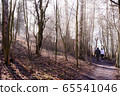 Finnish forest walk Finnish forest walk 65541046