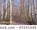 Birch road 3 in the suburbs of Finland Birch road 3 in the suburbs of Finland 65541048