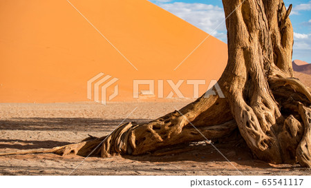 Abstract tree trunk against desert landscape in Abstract tree trunk against desert landscape in 65541117