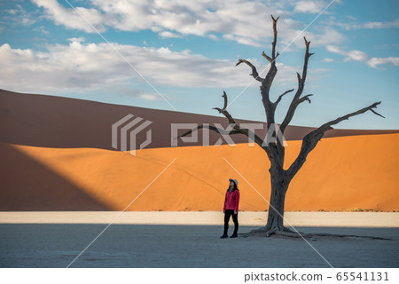 Woman traveler and dead tree in deadvlei, Namibia Woman traveler and dead tree in deadvlei, Namibia 65541131