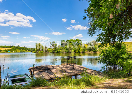Summer carp fishing Summer carp fishing 65541663