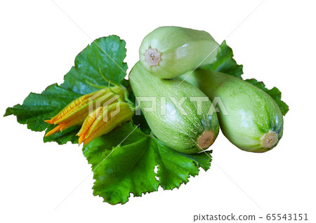Young zucchini with yellow inflorescence on a white background isolate Young zucchini with yellow inflorescence on a white background isolate 65543151